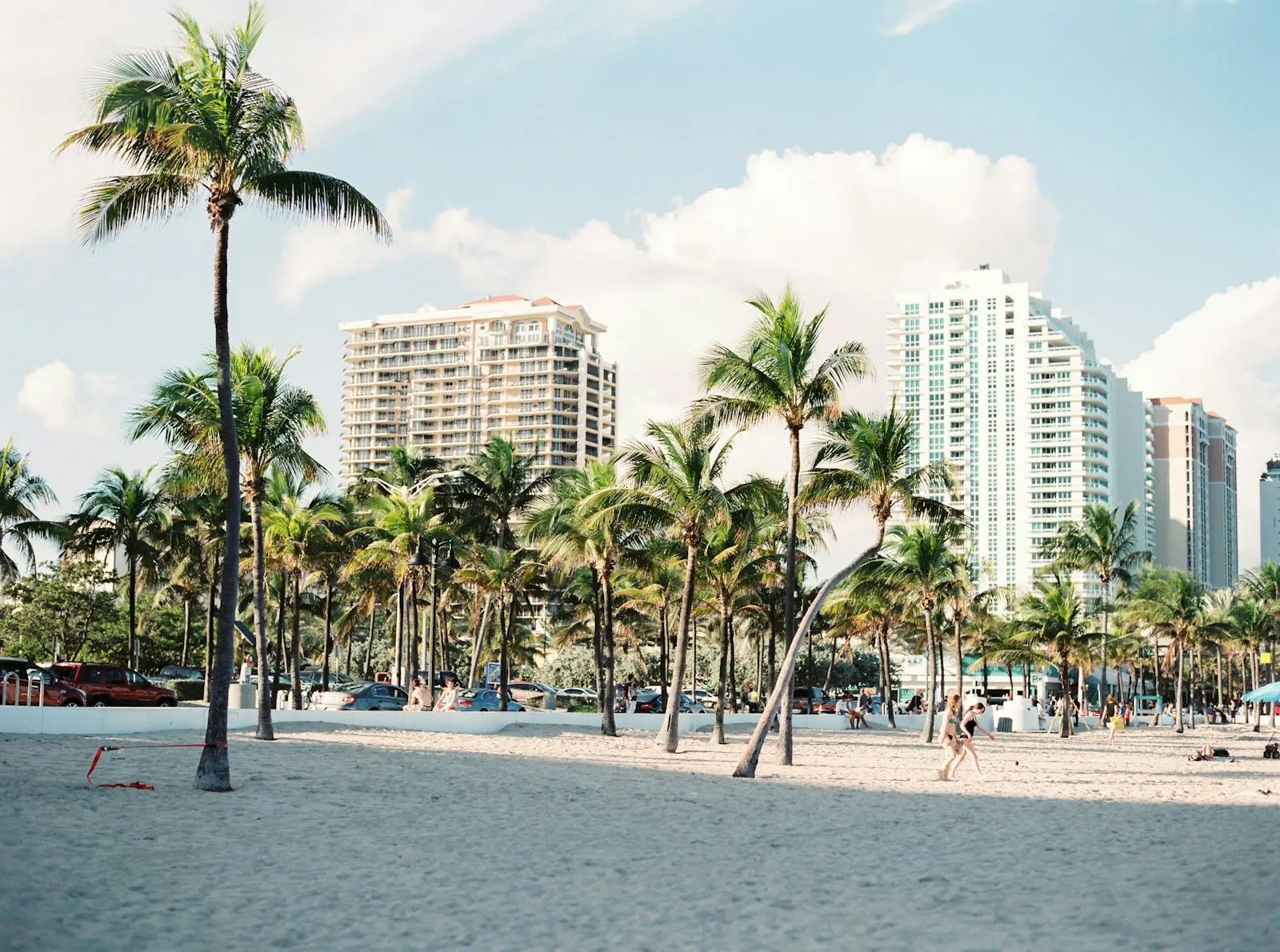 Palm trees and high-rise condos along a South Florida beach